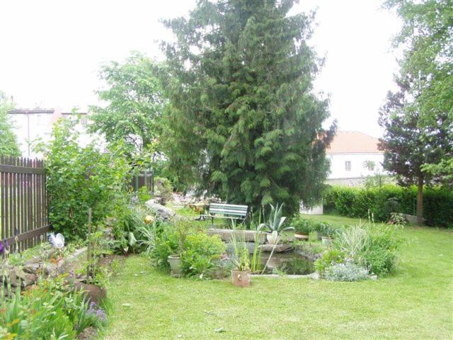 Penzion U Pesku Horni Plana Exterior foto
